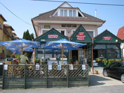 Aranyszarvas-Goldener Hirsch Pension Zalakaros Cameră foto